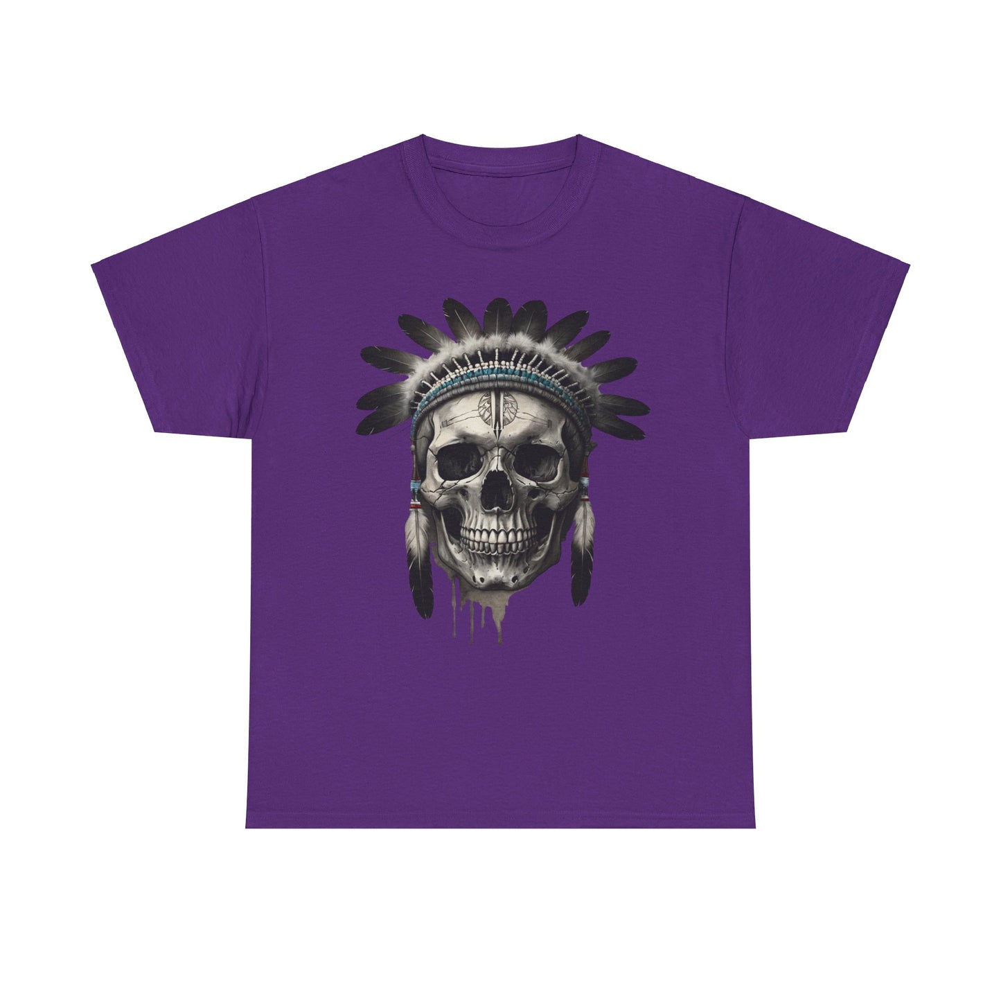 S=T=FU / 007 TSI 001 / Unisex Heavy Cotton Tee / Native American Skull